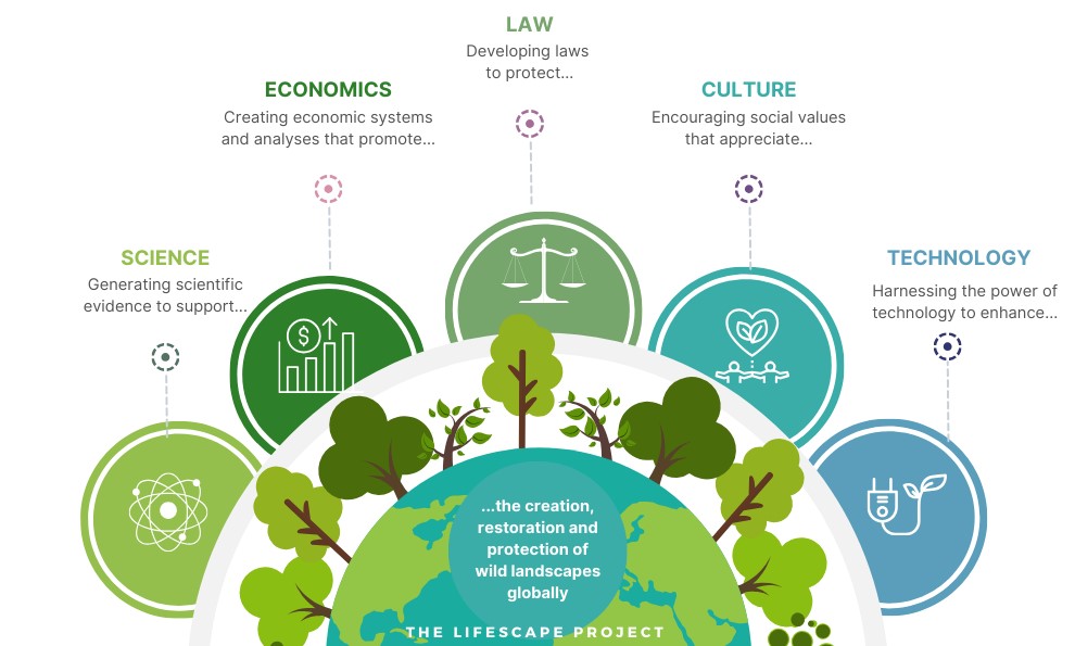 A diagram demonstrating the five disciplinary areas of Lifescape: science, econimics, law, culture, and technology